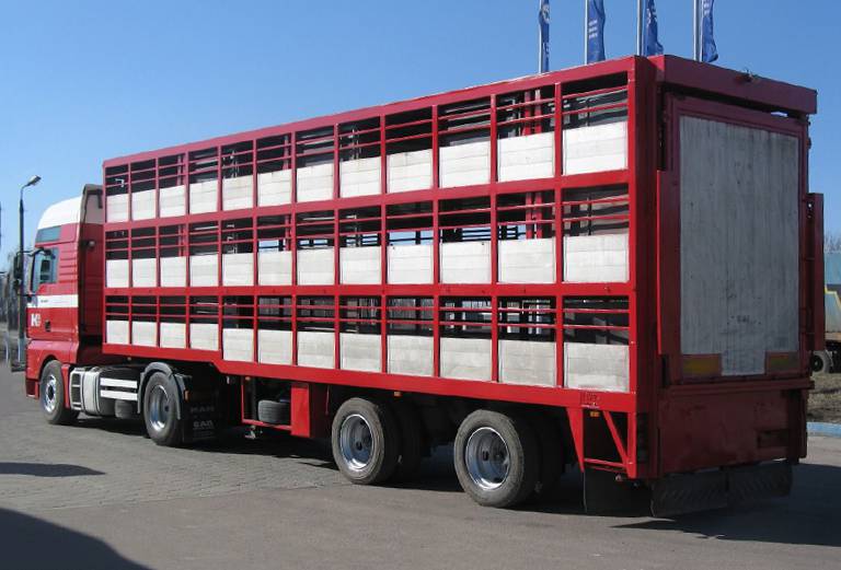 Перевезти быка 600 кг недорого из Таганрога в Рудню