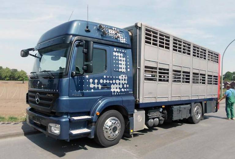 Транспортировать другие животных недорого из Клина в Краснодар
