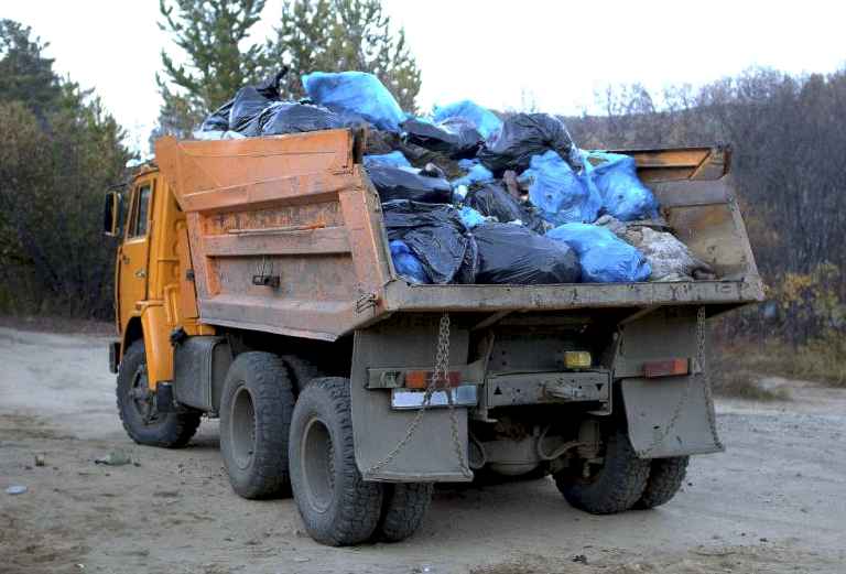 Вывоз бытового мусора дешево из Подушкино в свалка